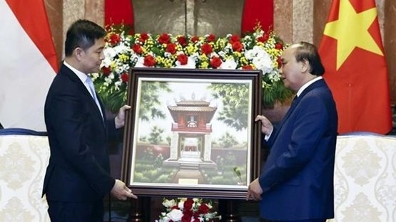 President wishes for more Viet Nam-Singapore cooperation projects