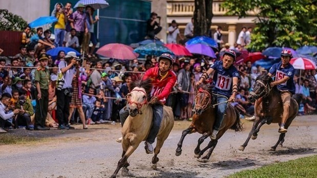 A traditional horse race will be organised within the framework of the festival. (Photo: VNA)