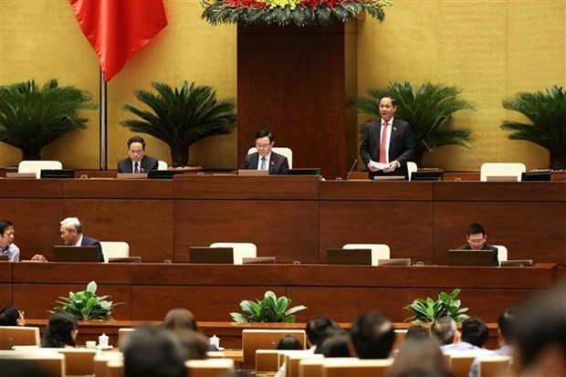 NA Vice Chairman Tran Quang Phuong (standing) addresses the plenary sitting on June 2. (Photo: VNA)