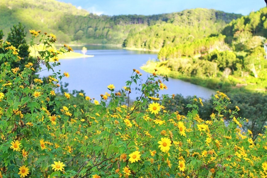 Da Lat attracts tourists with colourful flowers