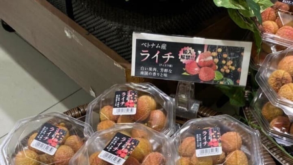 Trade exchange seeks to boost processed food exports to Japan