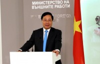 vietnam desires to promote comprehensive partnership with us