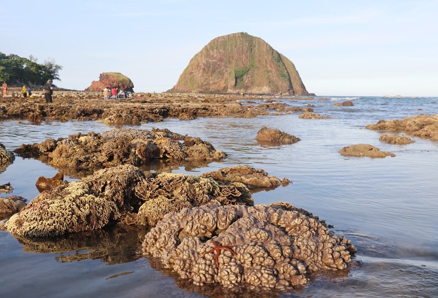 Coral reefs formed on volcanic sediment in Phu Yen