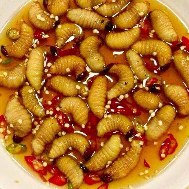 Coconut worms in fish sauce. (Photo: nld.com)