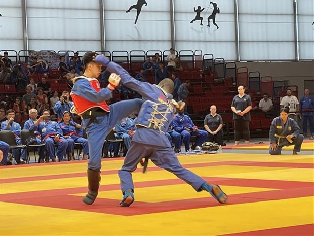 A competition of martial artists at the tournament’s final round. (Photo: VNA)