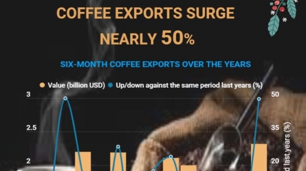 Coffee exports surge nearly 50% in H1