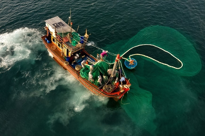 Breathtaking net-fishing moments off coast of Phu Yen