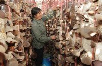 awards honour vietnamese talents nationwide