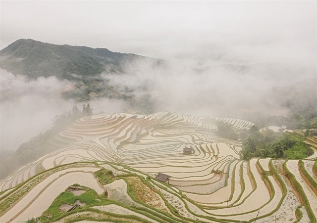 Crooked clouds blanket the terraced fields of Hoàng Su Phì.  Hoàng Su Phì is regarded as the location with the most magnificent rice terraces in Việt Nam. Come to Hà Giang, and you will be astonished by the natural splendour you find there. VNS