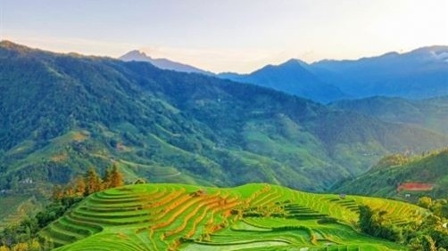 The splendor of Hoang Su Phi's terraced paddy fields