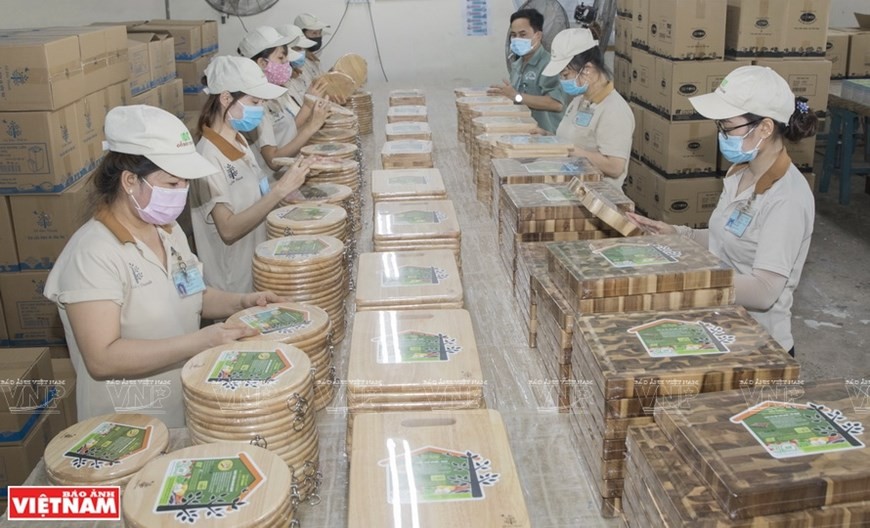Vietnamese wood - A billion-dollar industry springs forward