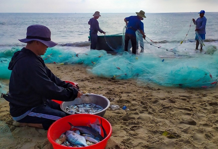 Fishermen pull in nets in Da Nang city Fishermen pull in nets in Da Nang city
