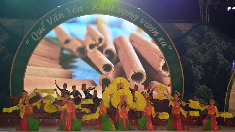 Yen Bai: The 4th Van Yen District Cinnamon Festival will open in October 2022