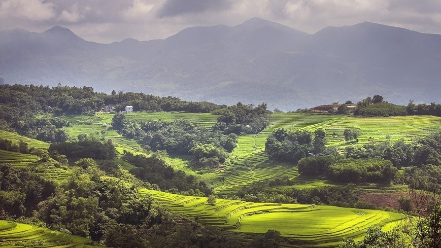 Peaceful charm of terraced rice fields in mountainous Hoa Binh province