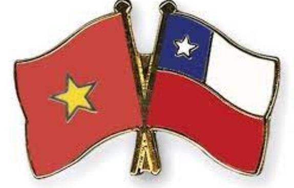 Vietnam-Chile’s largest trade partner in Southeast Asia: Ambassador