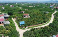 over 3 trillion vnd tourism complex to be built in thua thien hue