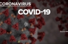 foreign ministry issues travel warnings amidst covid 19 epidemic