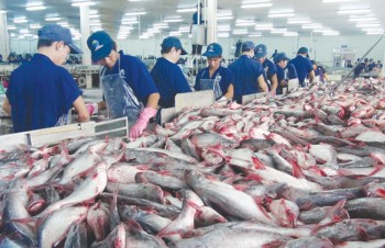 CPTPP, EVFTA to benefit Vietnamese fishery sector