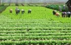 conference promotes ha nois safe farm produce