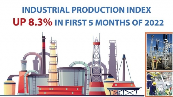 Viet Nam Industrial production index up 8.3% in first 5 months of 2022