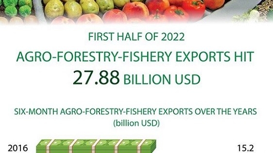 Viet Nam’s agro-forestry-fishery exports hit 27.88 billion USD in the first half of 2022