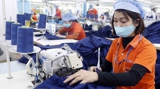The textile - garment sector has seen strong growth
