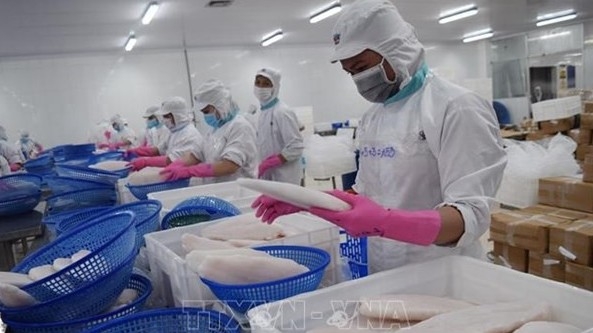 Viet Nam yields 2.6 million tonnes of aquatic products in four months