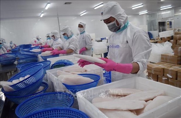 Viet Nam yields 2.6 million tonnes of aquatic products in four months