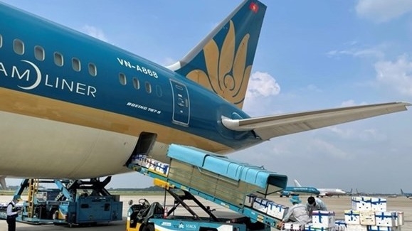 Viet Nam needs to have a strategy to promote air freight development