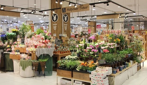 Flowers of Viet Nam gain a foothold in Japanese market