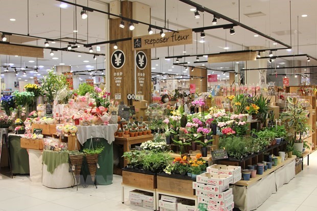 Flowers of Viet Nam gain a foothold in Japanese market