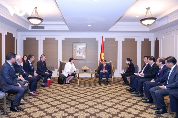 Prime Minister receives overseas Vietnamese, US businessmen, scholars
