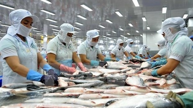 Fulfilling sanitary and phytosanitary measures help bolster Vietnam aquatic exports