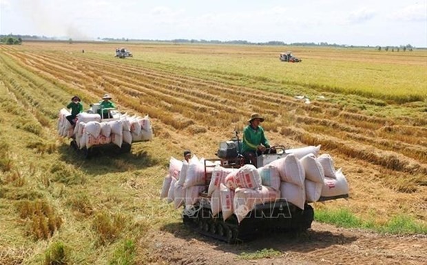 Vietnam, ASEAN colleagues discuss response to food security concerns
