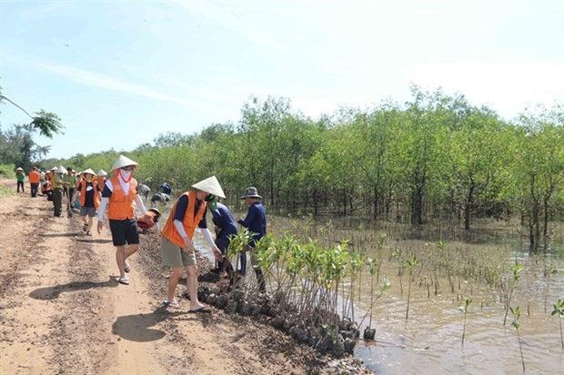 Workshop on measures to increase mangrove afforestation in Mekong Delta