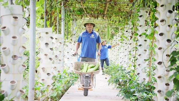 Bac Giang will focus on increasing agricultural production value