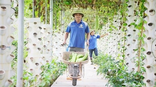 Bac Giang keeps focusing on increasing agricultural production values