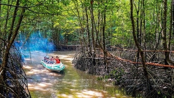 Wetlands conservation important as nearly 40 percent of Vietnam’s landmass