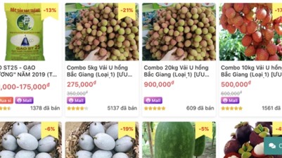 Many provinces focus on e-commerce platfoms to sell agricultural products