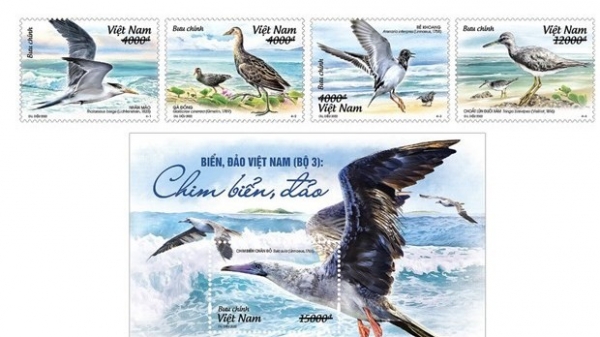Postage stamps featuring sea birds to be issued soon