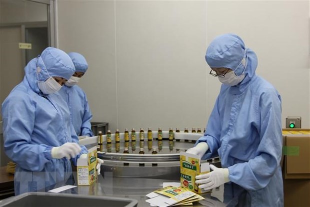Big potential for Vietnam to boost export of medicinal herbs to Japan