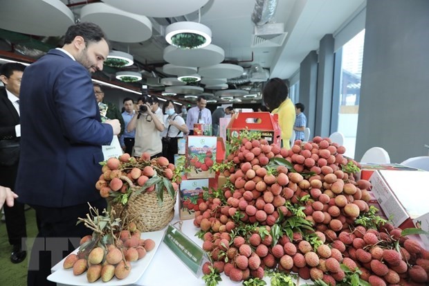 Vietnamese lychees aim to go global