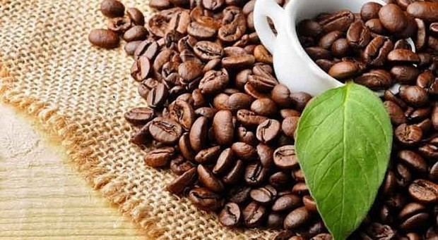 Vietnam sees more chances for coffee exports to the US