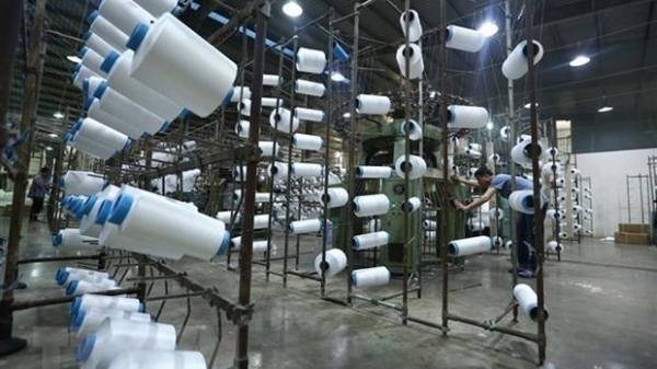Vietnam 's fibre exports foresee positive signals