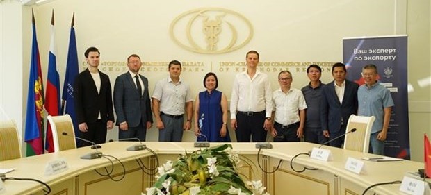 Vietnamese companies seek cooperation with Russia’s Krasnodar province