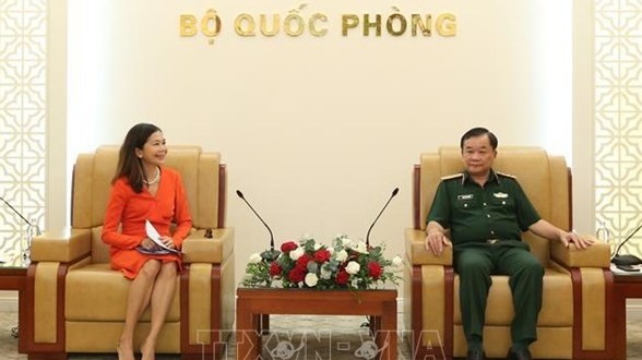 Vietnam to engage in UN peacekeeping operations more extensively: official