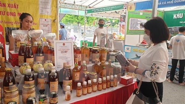 Hanoi’s OCOP products to be promoted on TikTok Hanoi’s OCOP products to be promoted on TikTok