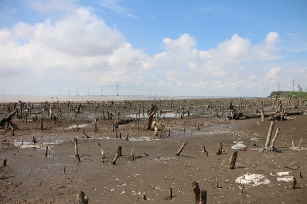 Ben Tre faces increasing erosion by impact of climate change