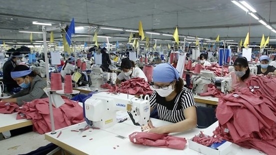 Garment-textile sector must go green to boost exports to EU: Experts