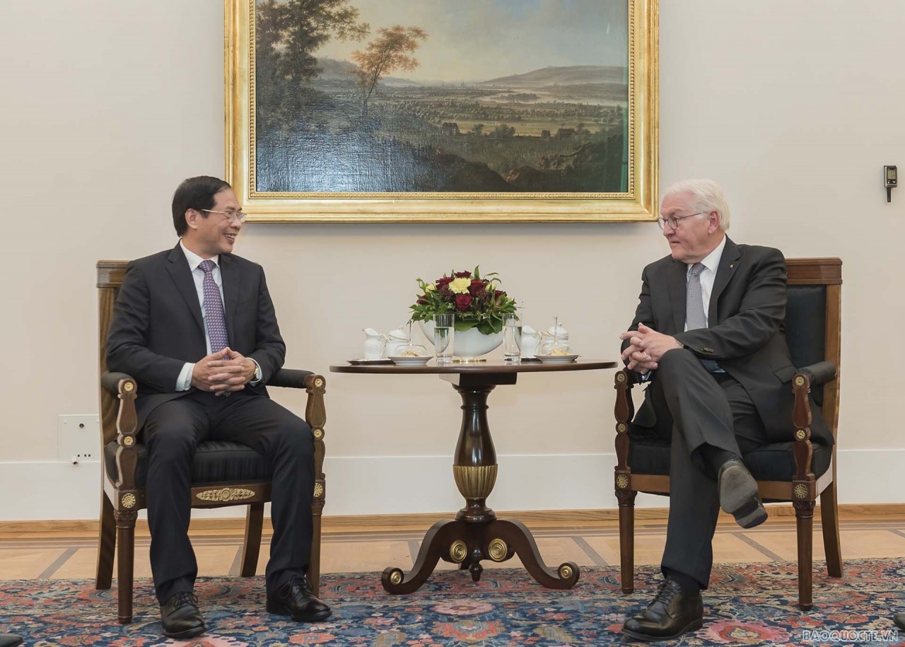 FM Bui Thanh Son paid a courtesy call to German President Frank-Walter Steinmeier